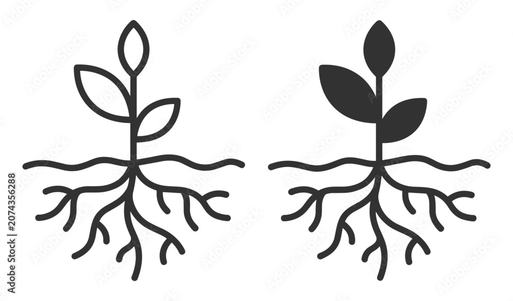 Fototapeta premium Plant with roots line icon and solid icon set illustration on transparent background