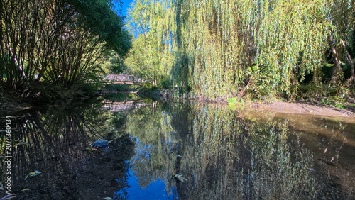 Photography A calm river reflects trees in Toronto Botanical Garden
