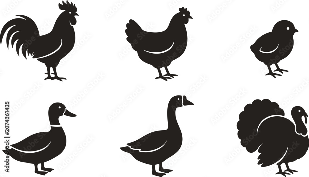 Obraz premium Farm Poultry Bird Black Silhouette Icon Set with Rooster Hen Chick Duck Goose and Turkey Symbols for Agricultural Branding Butcher Shop and Livestock Graphic Designs