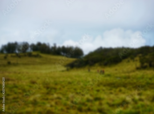 Blurred of Savanna Landscape in Lawu Mountain Indonesia