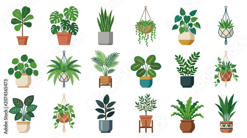 Collection of diverse potted houseplants for modern home decor