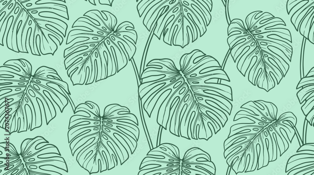 Fototapeta premium A hand drawn leaf pattern illustration of various monstera leaves on a mint green background