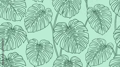 Fotografie A hand drawn leaf pattern illustration of various monstera leaves on a mint gree