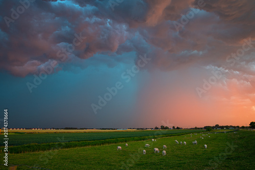 Tableau sur toile Dramatic blue storm clouds meet a colorful sunset over green pastoral field where sheep graze peacefully, contrasting the approaching storm with warm evening light