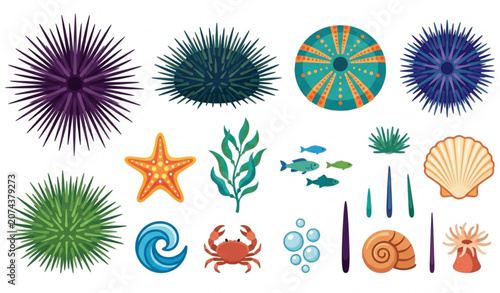 Foto Sea Urchin Collection Vector EPS 10 Illustration Marine Life Isolated on White
