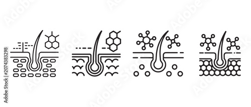 Set of hair follicle skin structure icons showing scientific treatment and biology process with molecules and cells in a simple line art style.