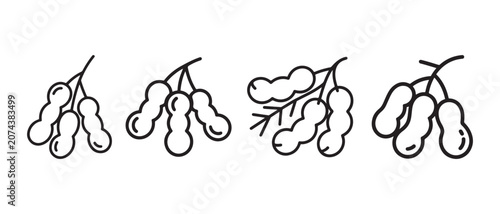 Set of hand drawn tamarind fruit icons with pods on stems in a simple black outline doodle style.