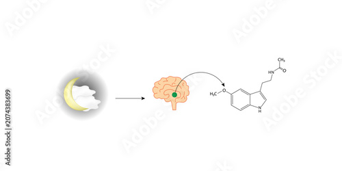 Fotografija Melatonin, sleep hormone, regulates sleep-wake cycle