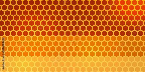 Photos Beautiful honeycomb with bees close-up
