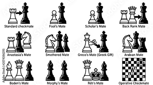 Obraz na plátně Chess Mates: Illustrations of 12 Different Checkmate Strategies and Tactics
