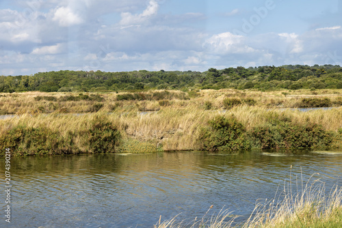 Obraz na plátně famous sea salt marshes of Guerande in Brittany, in summer