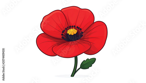 Red Poppy Flower Close Up View.