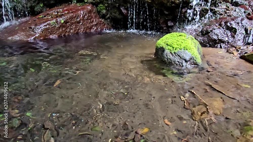 神奈川県箱根で撮影した千条の滝