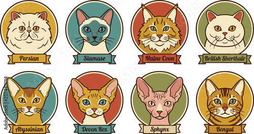 Konstfotografi Vintage Retro Style Cat Breed Portrait Badges Featuring Persian Siamese Maine Co