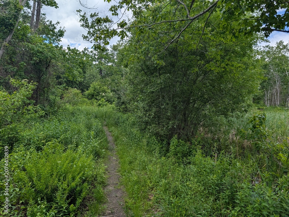 Fototapeta premium Peaks Island near Portland, Maine - June 2026