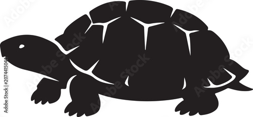 see tortois vector