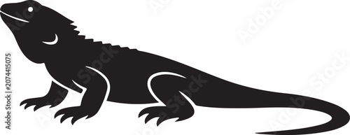 lezard vector
