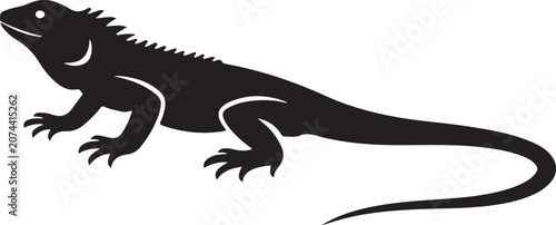 lezard vector