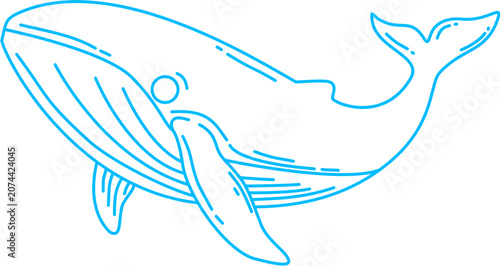 Photography Humpback Illustration