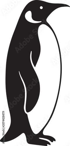 shark vector