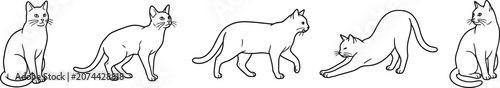 A collection of five distinct black and white line art illustrations showing cats in various poses including sitting, walking, standing alert, and stretching their bodies.
