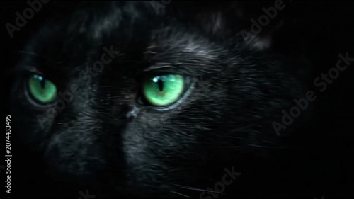 Black cat face with intense green eyes close up