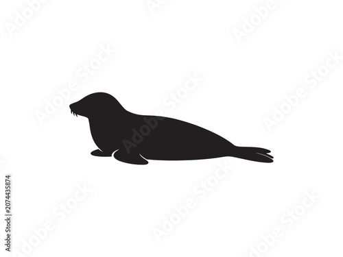 Black silhouette of a resting seal on white background with silhouette wildlife isolated