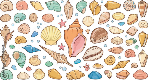 Fotografie Sea shells vector elements set with colorful marine conch sea snails starfish an