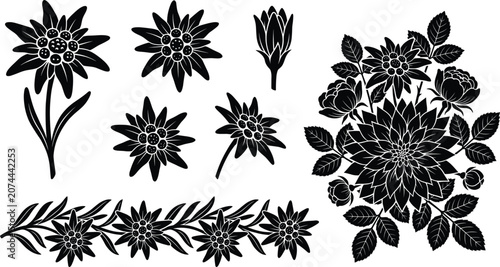 Solid black alpine edelweiss silhouette vector set with decorative flower border and dahlia bouquet