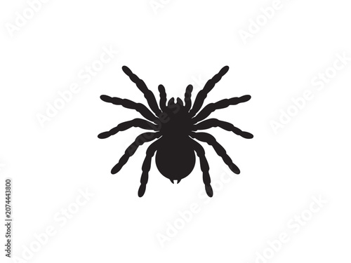 Minimalist black silhouette icon of a spider with silhouette arachnid creature wildlife