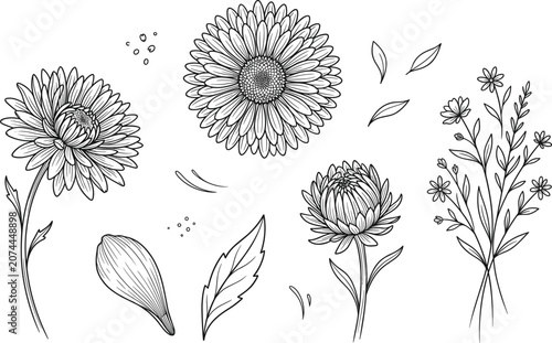 Vintage engraving flower line art vector set with hand drawn sketch dahlia and wildflower icons