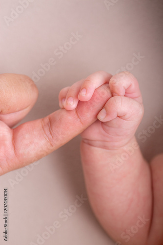 Little newborn baby hand being held by parent close up