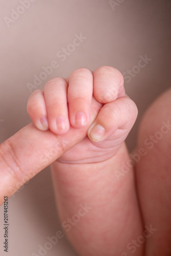 Little newborn baby hand being held by parent close up