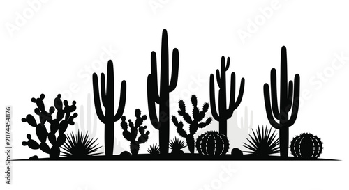 Φωτογραφία Black silhouette of cacti and succulents on white background