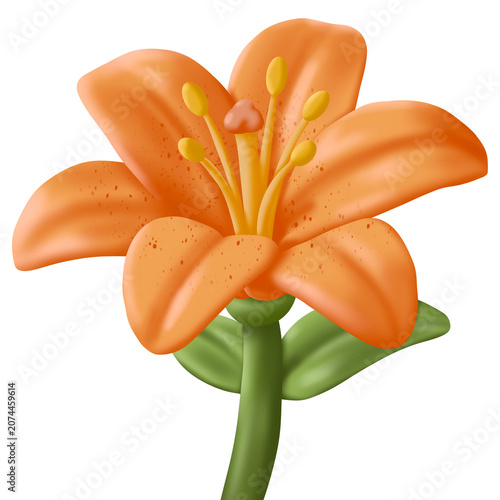 orange lily flower