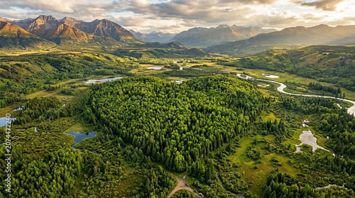 Aerial view of a heart-shaped forest in a mountain valley
