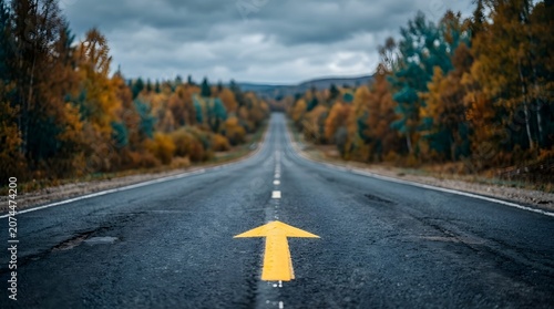 Autumn road with yellow arrow pointing forward on asphalt