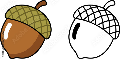 acorn vector on transparent background