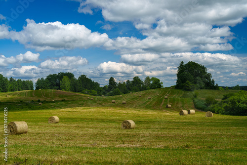 field with hay bales on a cloudy day