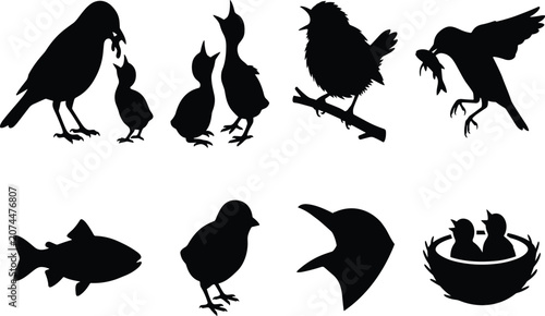 Fotografie Collection of bird silhouettes featuring parents feeding hungry chicks singing b