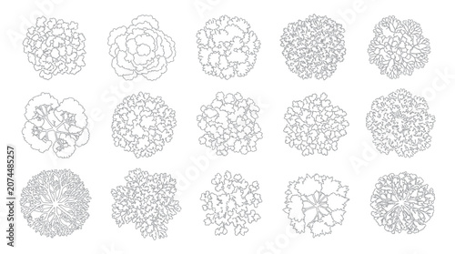 Set of Black and White Floral Line Art Illustrations