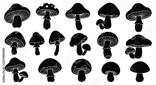 Fotografi Black Silhouette Mushroom Set Various Shapes And Sizes