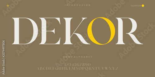 Elegant Luxury Serif Font for Editorial Branding and Fashion Design