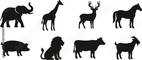 Konstfotografi Black silhouettes of various wild and domestic animals