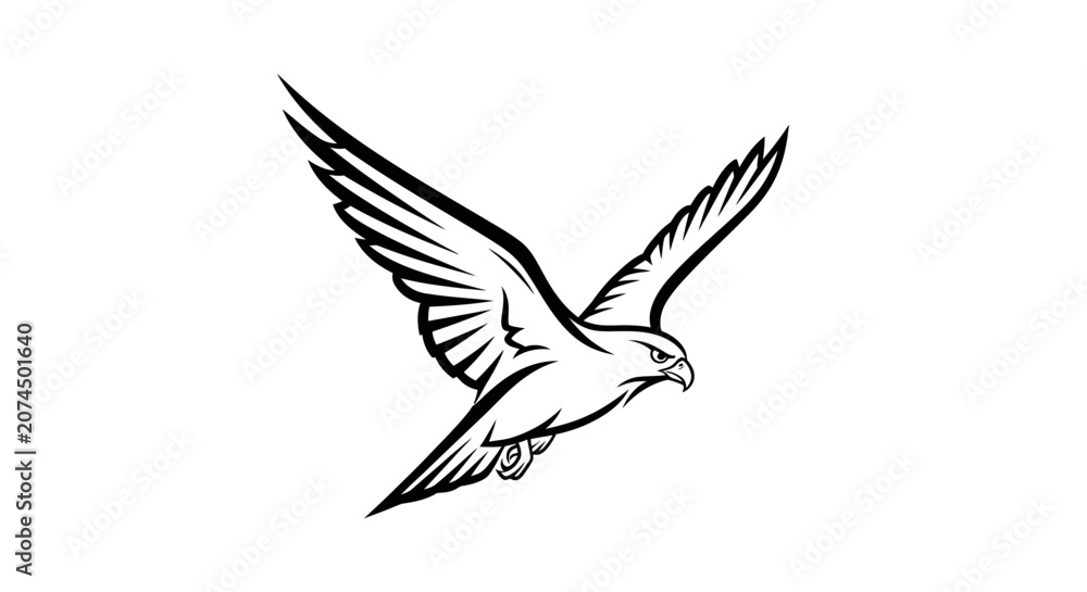 Fototapeta premium Black and white vector illustration of a majestic bird of prey in powerful flight, a soaring falcon or hawk with spread wings.