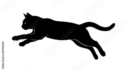 Photography Cat jumping , silhouette vector black , white background