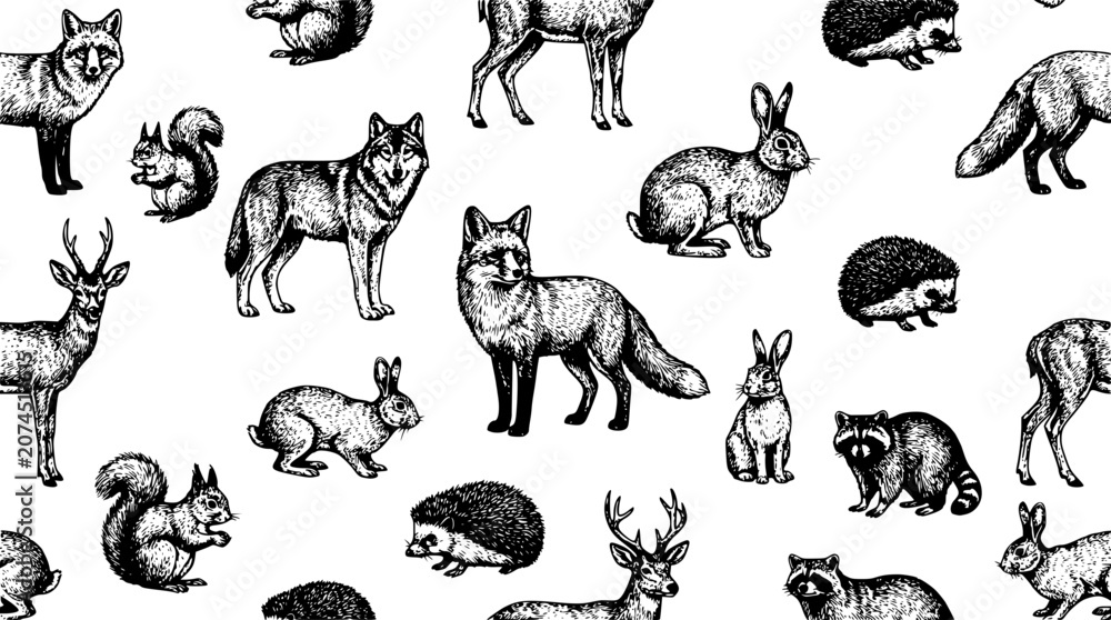 Obraz premium Hand drawn forest animals seamless pattern vector illustration featuring vintage sketch style deer fox wolf rabbit squirrel and hedgehog forest wildlife