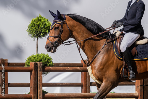 Show Jumping Horse and Rider During Warm-Up at Outdoor Equestrian Competition