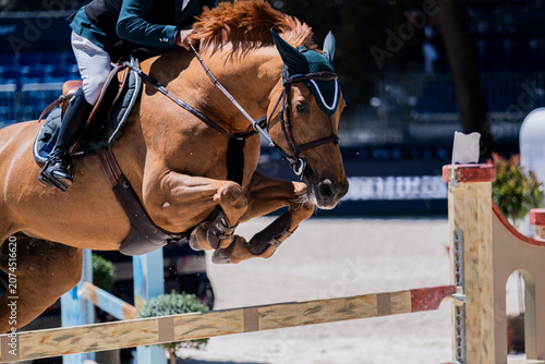 Chestnut Horse Clearing Show Jumping Obstacle During Equestrian Competition