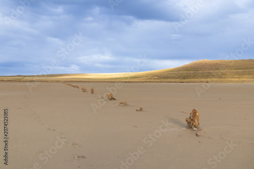 Weathered fence posts in the sand